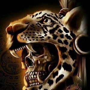 Meet your Posher, Cody